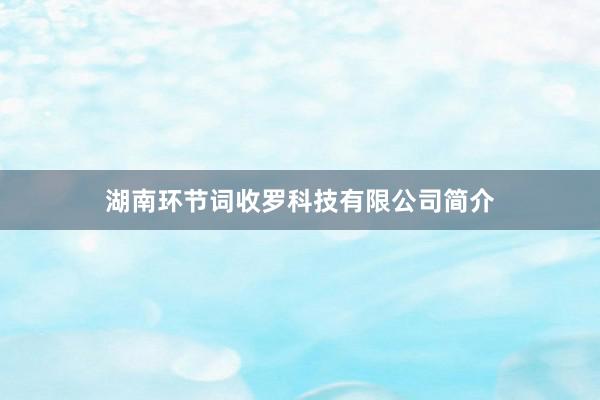 湖南环节词收罗科技有限公司简介