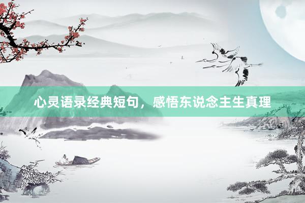 心灵语录经典短句，感悟东说念主生真理