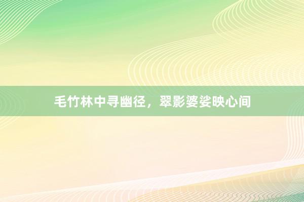 毛竹林中寻幽径，翠影婆娑映心间