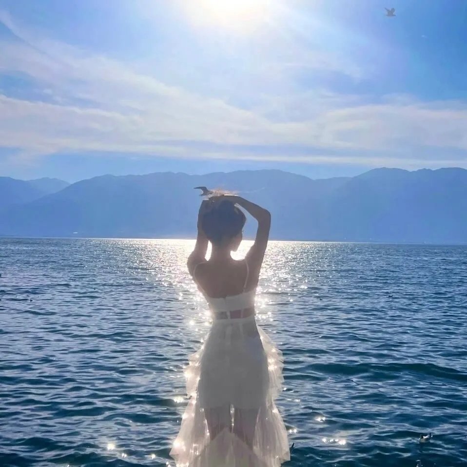 美国谍梦第五季