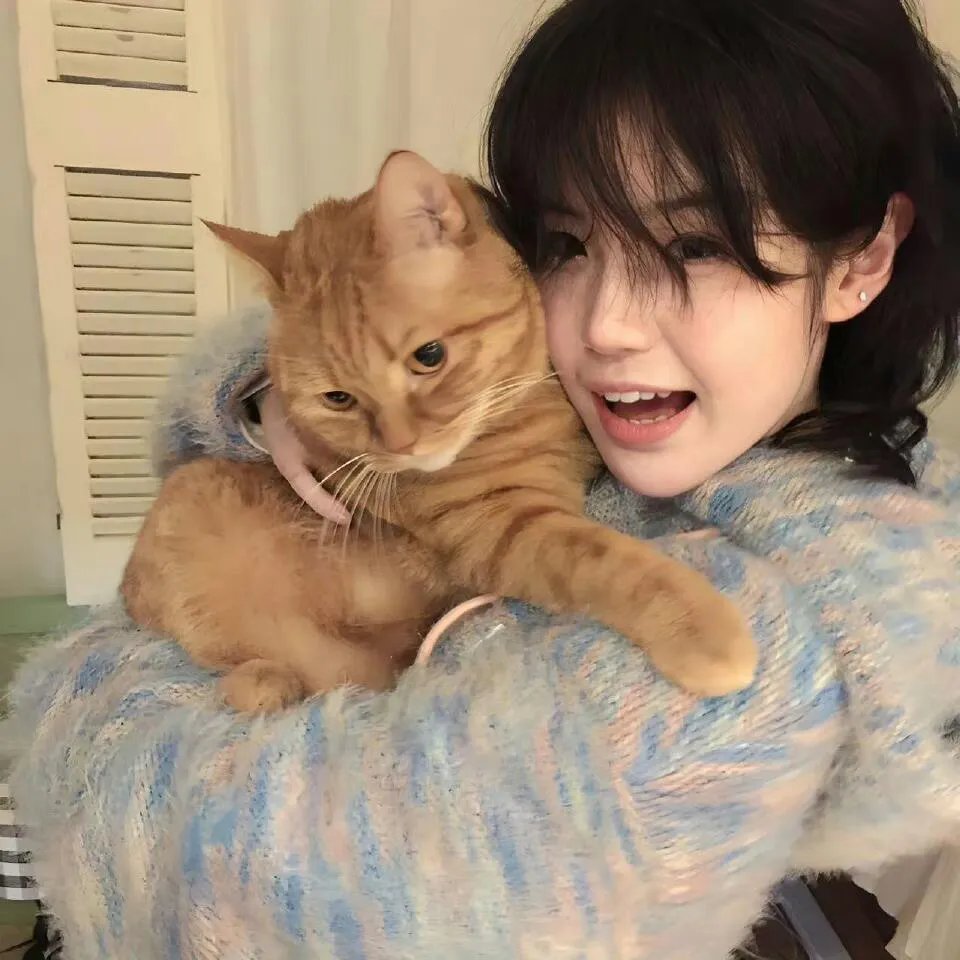 丹特丽安的书架